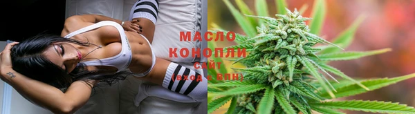 индика Магадан