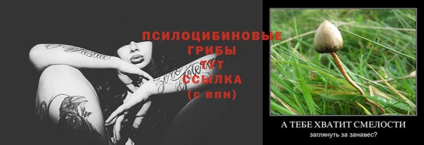 гидра Майский