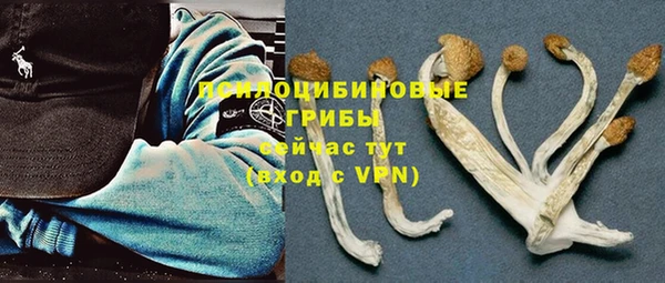 гидра Майский