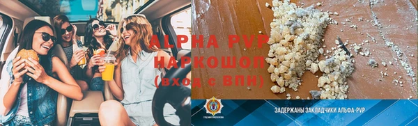 гидра Майский