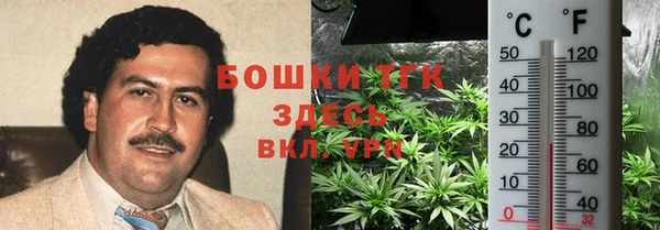 индика Магадан