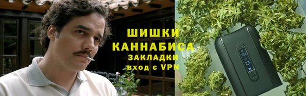 индика Магадан