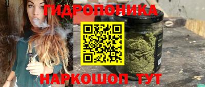 крисы Волжский