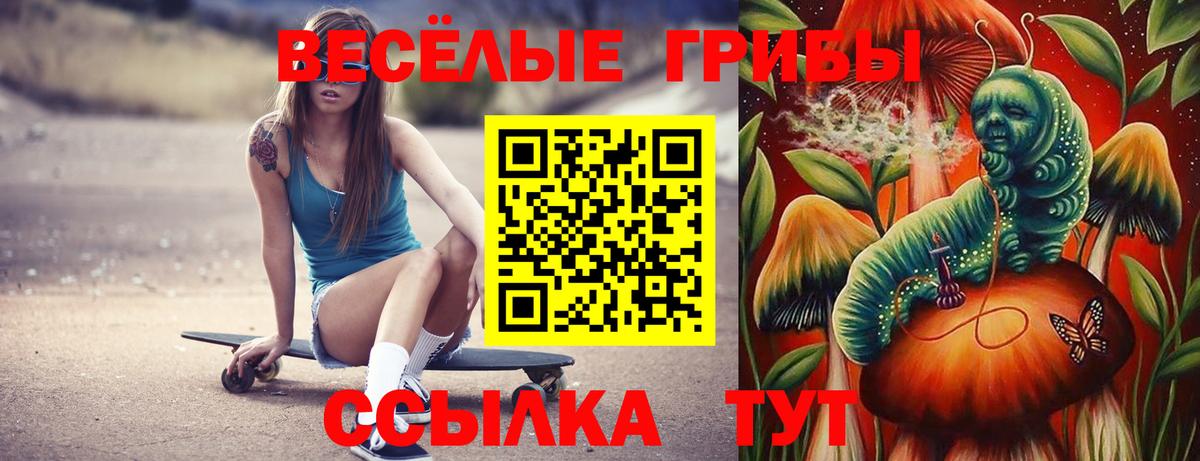 Псилоцибиновые грибы GOLDEN TEACHER Чайковский