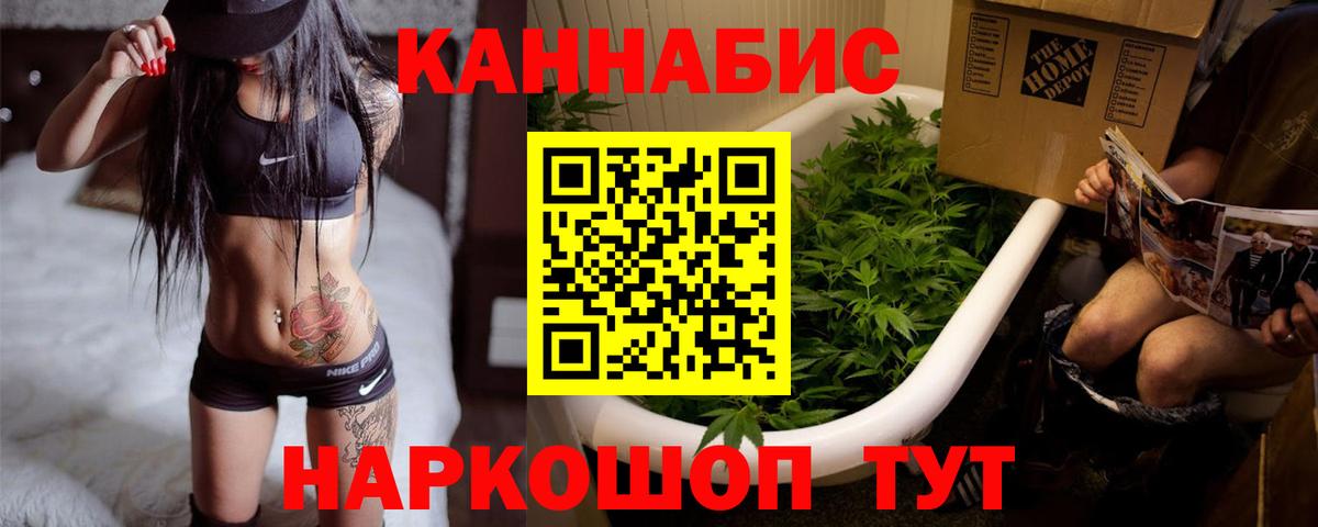 МАРИХУАНА гибрид Чайковский